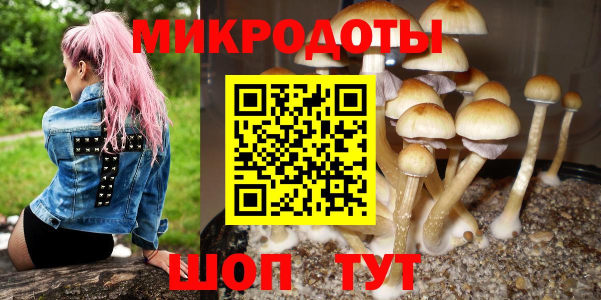 Отрадное  Псилоцибиновые грибы Psilocybine cubensis  Вход с VPN 