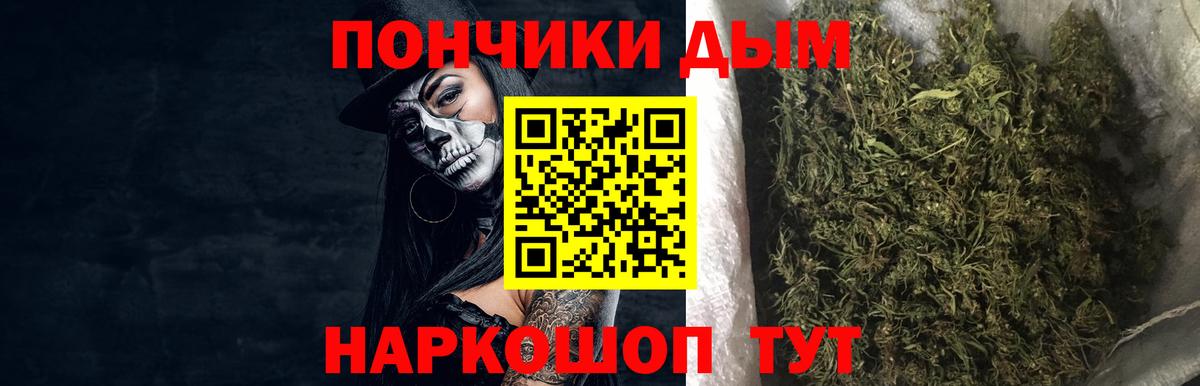 Шишки марихуана марихуана Отрадное